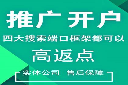 电商平台信息流广告的创意与优化：成功案例分析